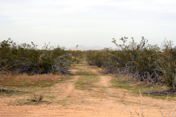 The Desert Shoot