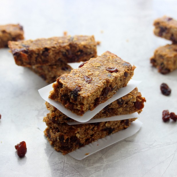 Cinnamon Raisin Protein Bars