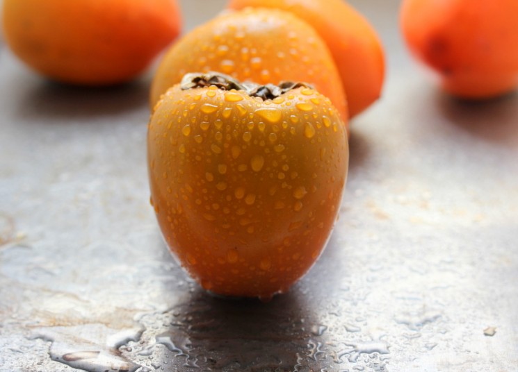 Persimmon Love Affair 