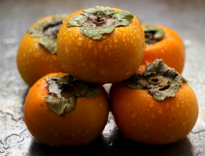 Persimmon Love Affair 