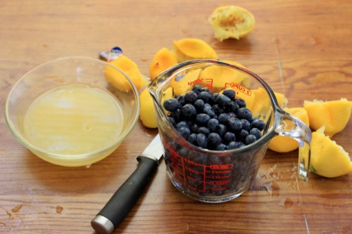 Blueberry Lemonade Smoothie