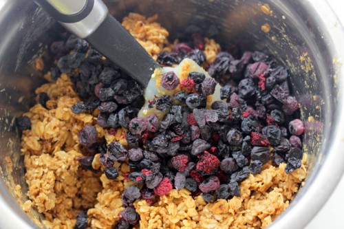 Chewy Blueberry Granola Bites 