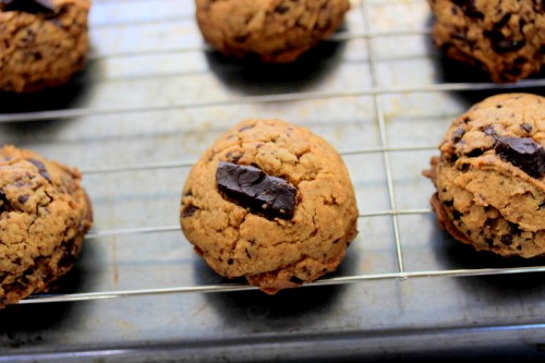 Chunky Chocolate Cookies ( The Misplaced Recipe Cookie)