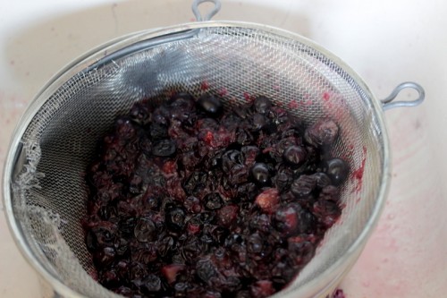 How To Series: Dehydrating Blueberries (Part 1)