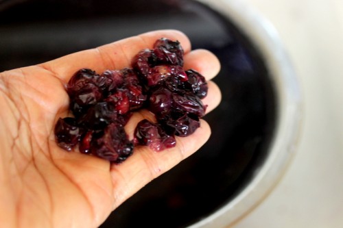 How To Series: Dehydrating Blueberries (Part 1)