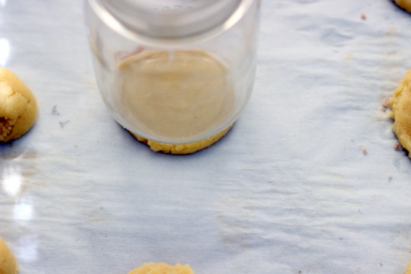 Cinnamon Crusted Sugar Cookies