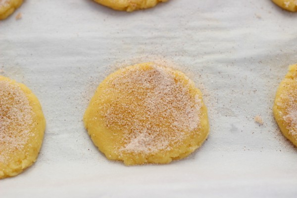 Cinnamon Crusted Sugar Cookies