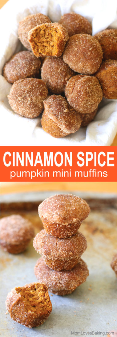 Moist, melt-in-your-mouth pumpkin muffins that are dipped in butter and cinnamon sugar. Plus, they’re gluten free & low in refined sugar