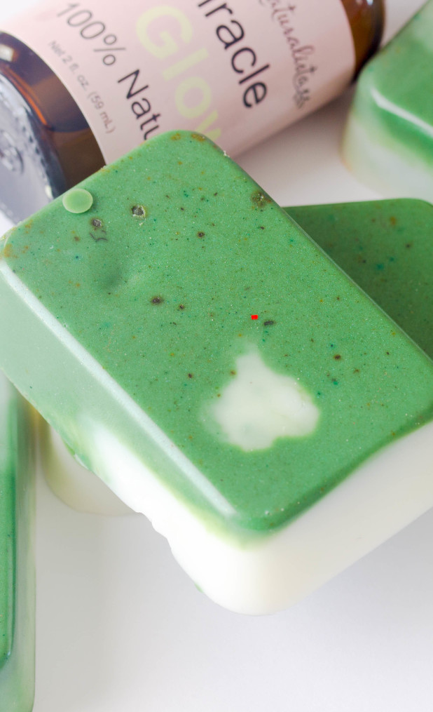 Green Tea Swirl Soap Bars