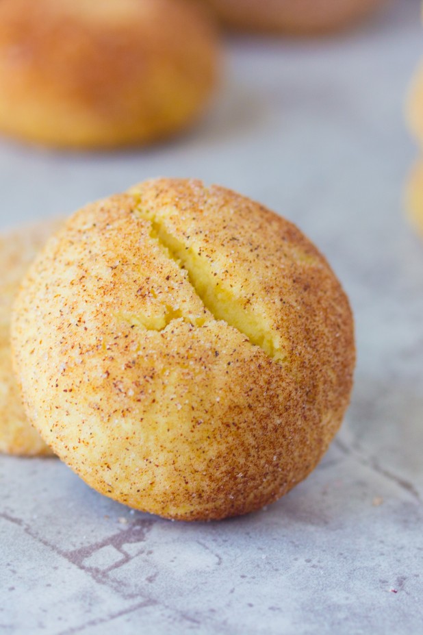 Low-Fat Snickerdoodles