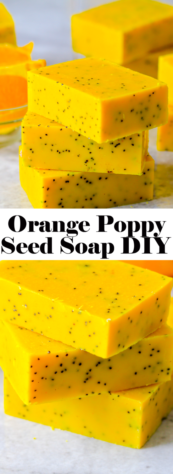 Citrus Orange Zest Soap - Savvy Naturalista