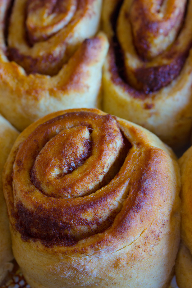 Sugar Free Cinnamon Rolls 