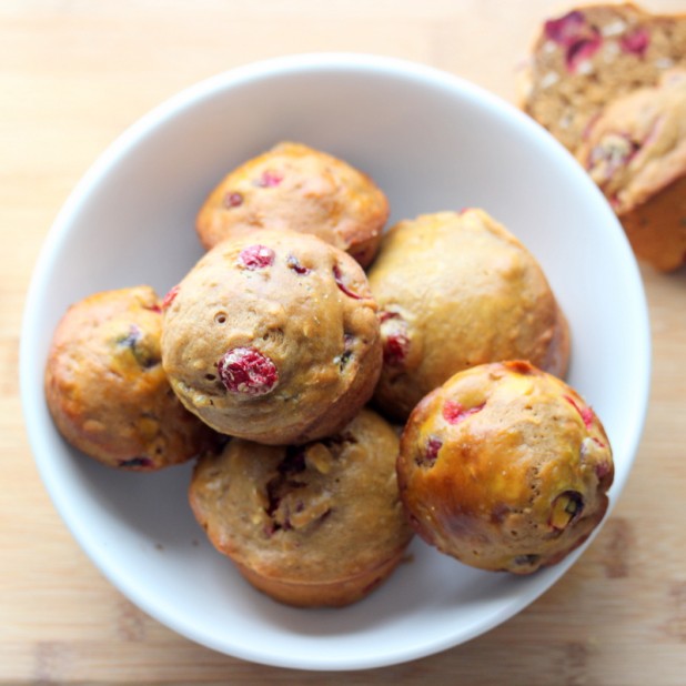 Cranberry Oat Muffin (Sugar Free)